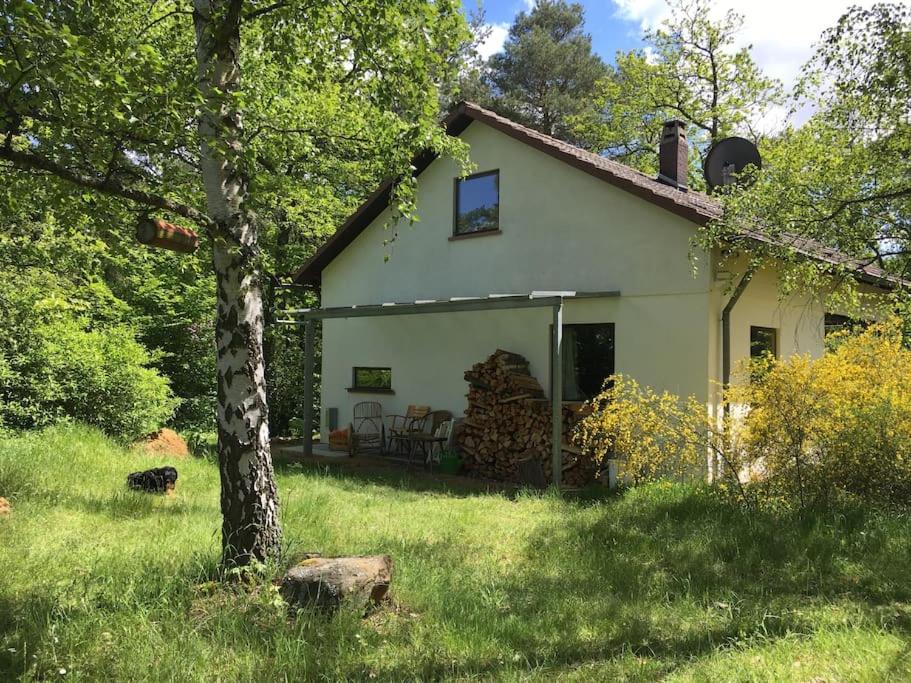 Ferienhaus im Wald an der Weinstrasse