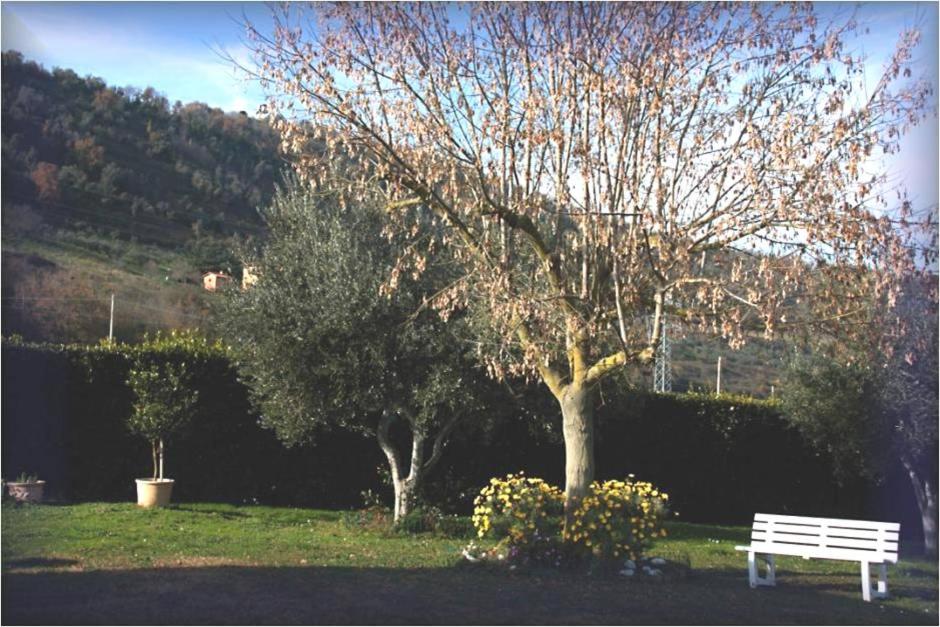 Just House view 2
