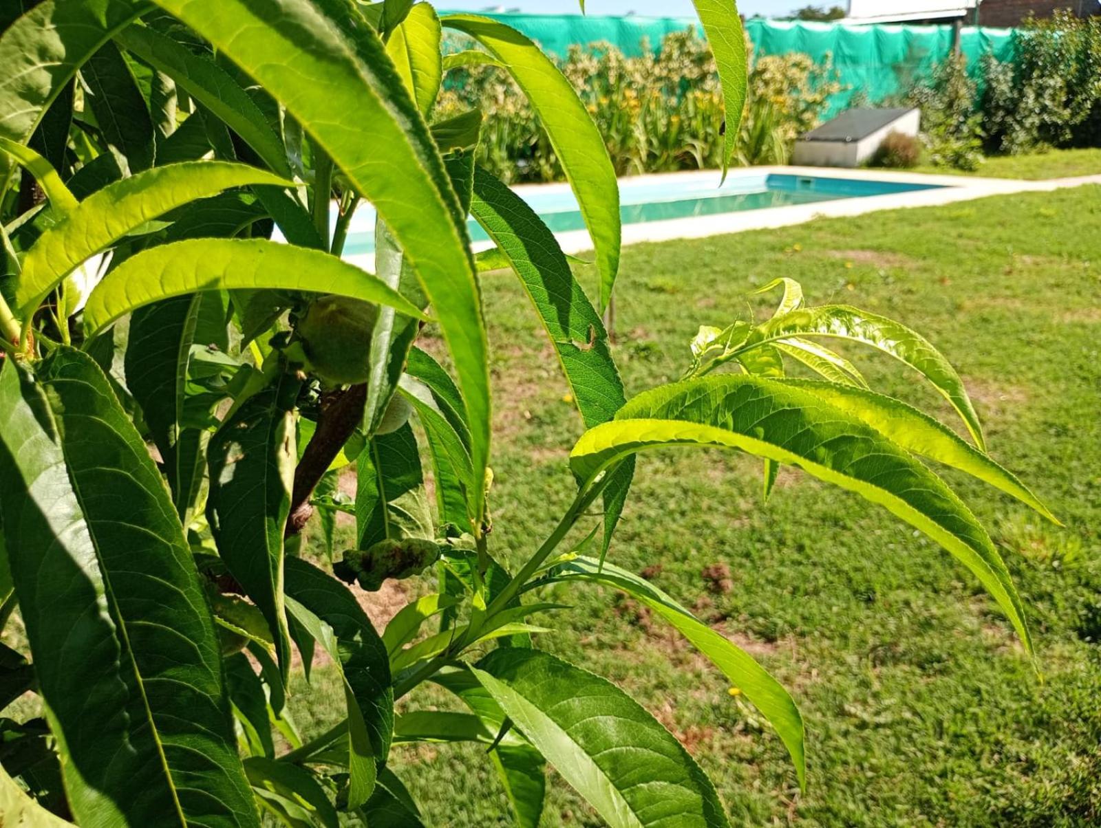 Casa quinta el nogalito