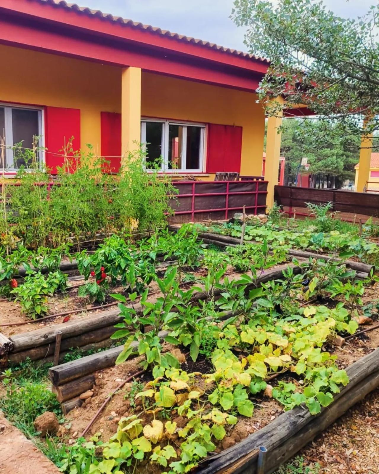 Albergue de Condemios de Arriba - Aventurarte