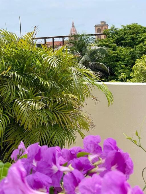 Walled City apt- Rooftop Pool & Private Garden