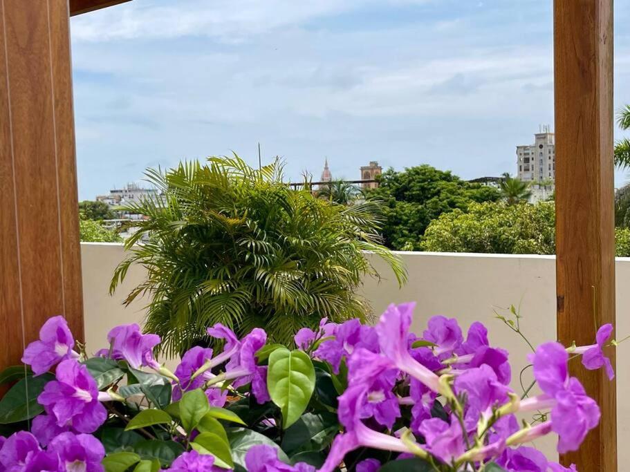 Walled City apt- Rooftop Pool & Private Garden