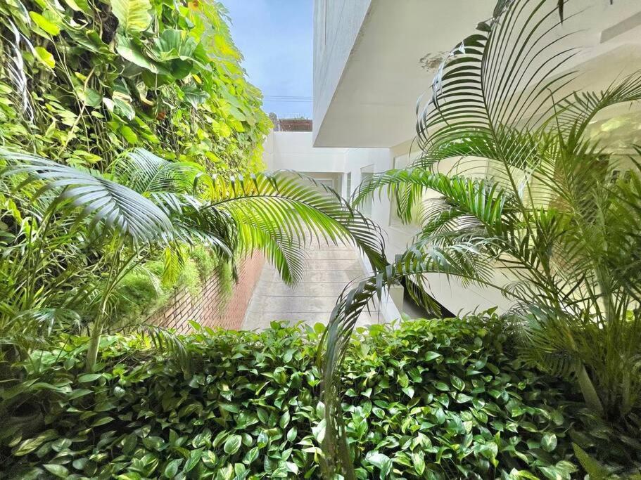 Walled City apt- Rooftop Pool & Private Garden