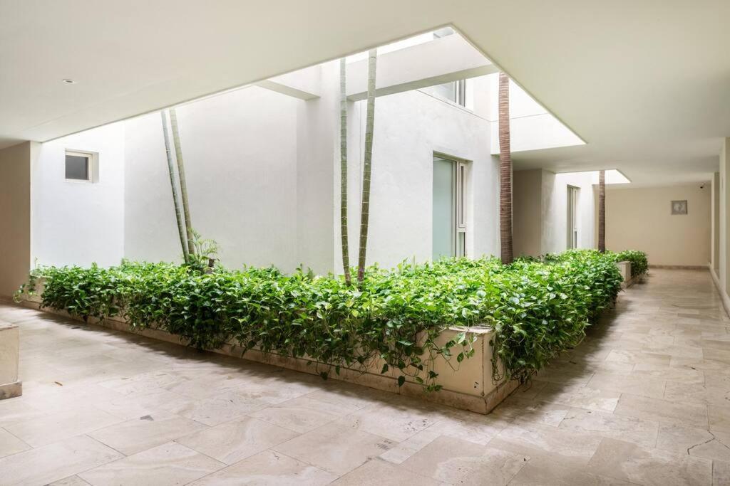 Walled City apt- Rooftop Pool & Private Garden