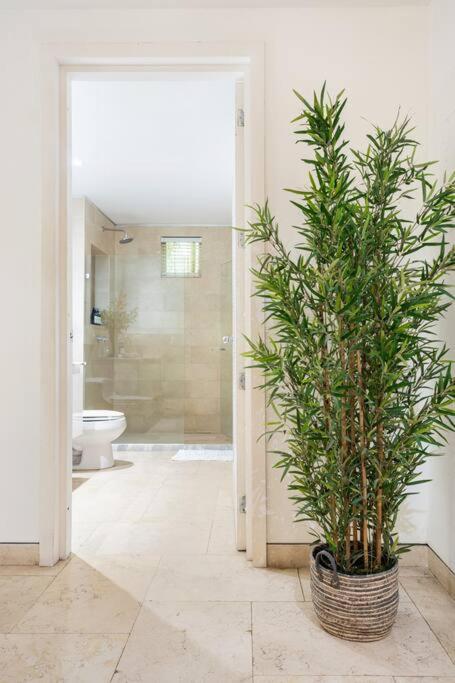 Walled City apt- Rooftop Pool & Private Garden