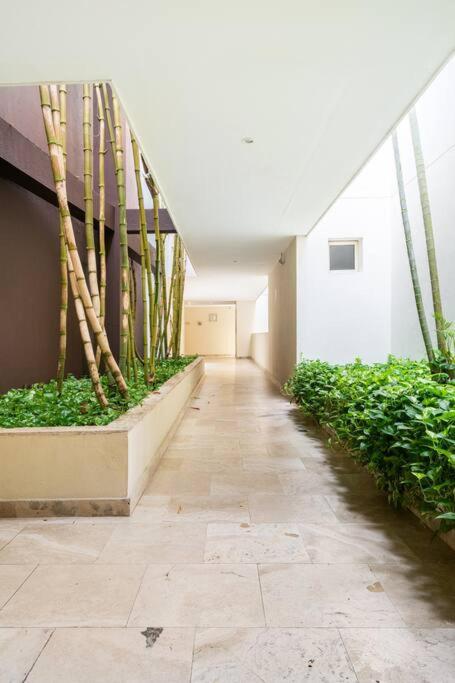 Walled City apt- Rooftop Pool & Private Garden