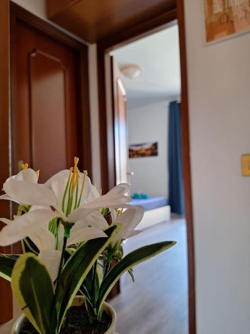 Alloggio Caprara Accomodation Metro Cornelia