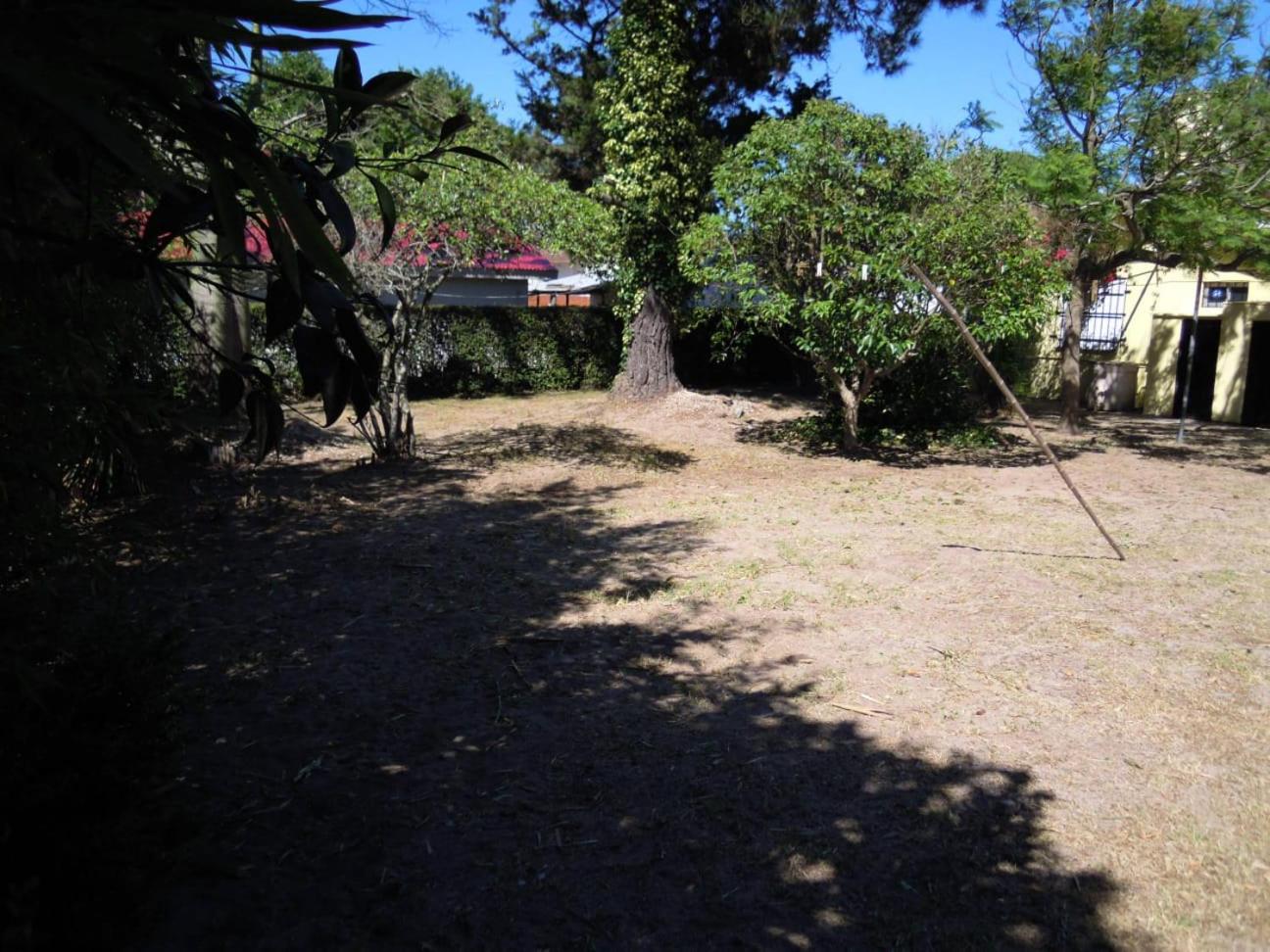 Casa Bichi