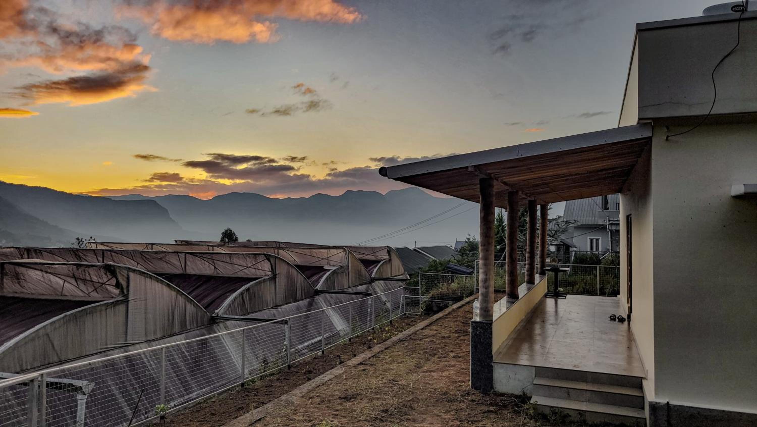 Home stay