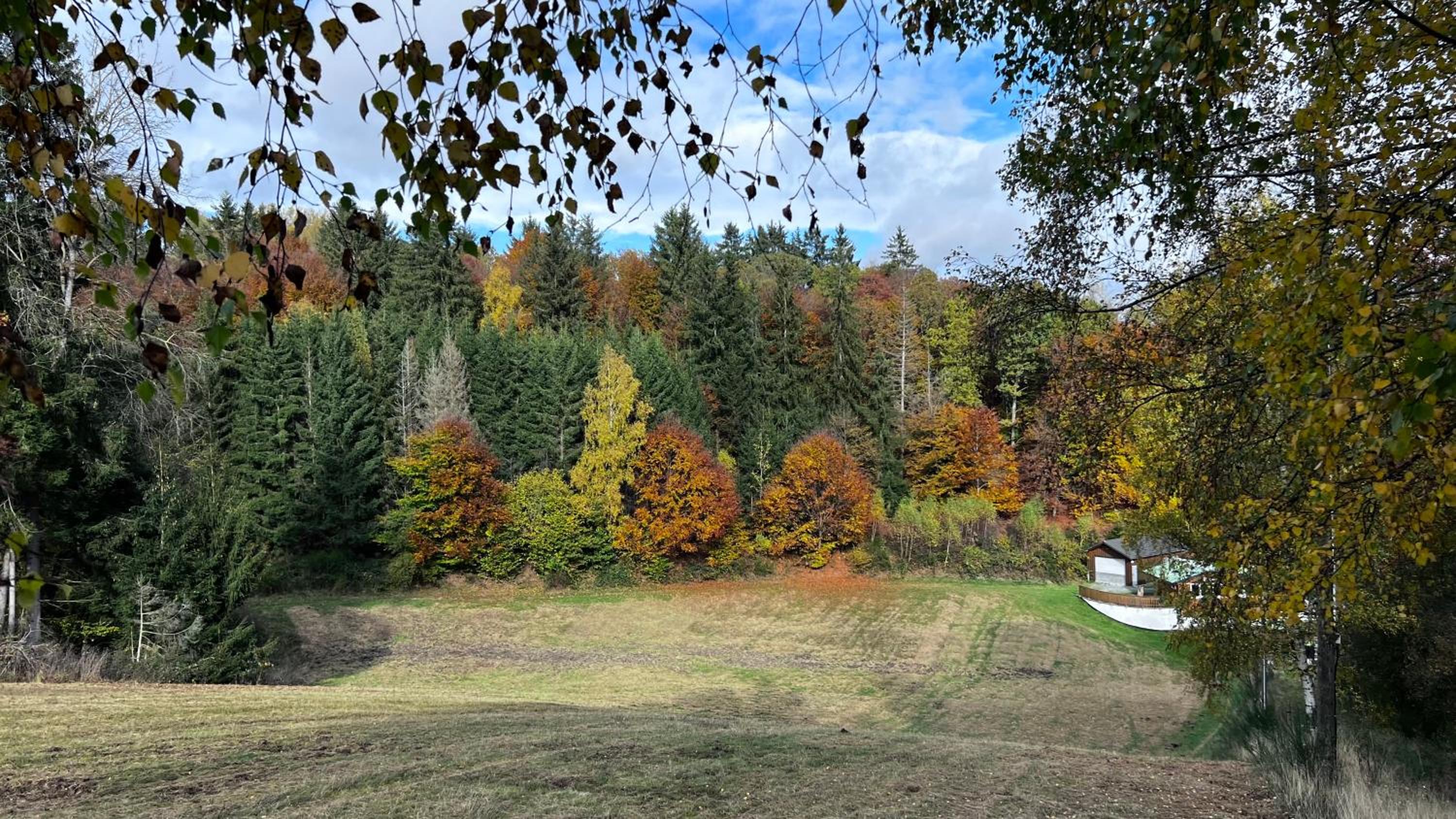 Die Waldstube