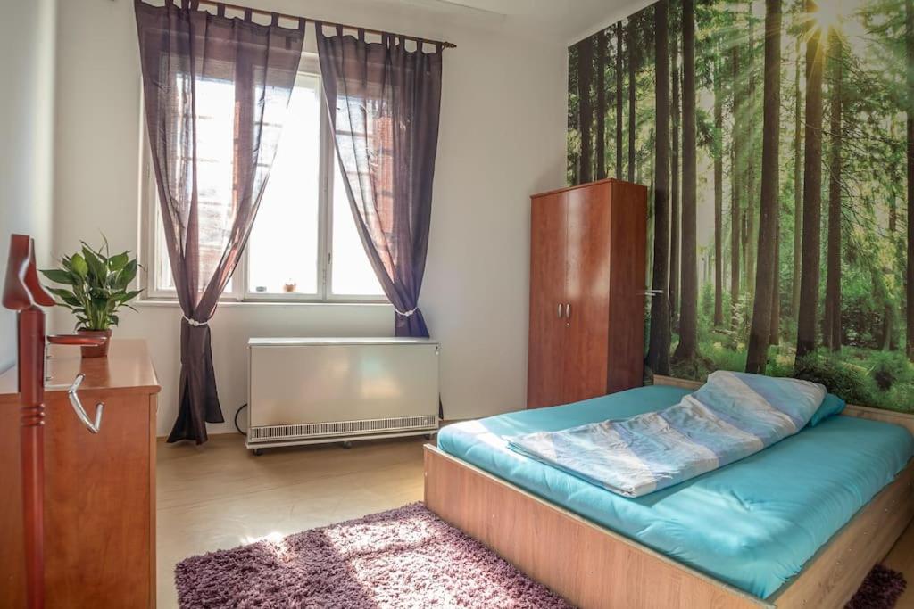 Smoki apartman