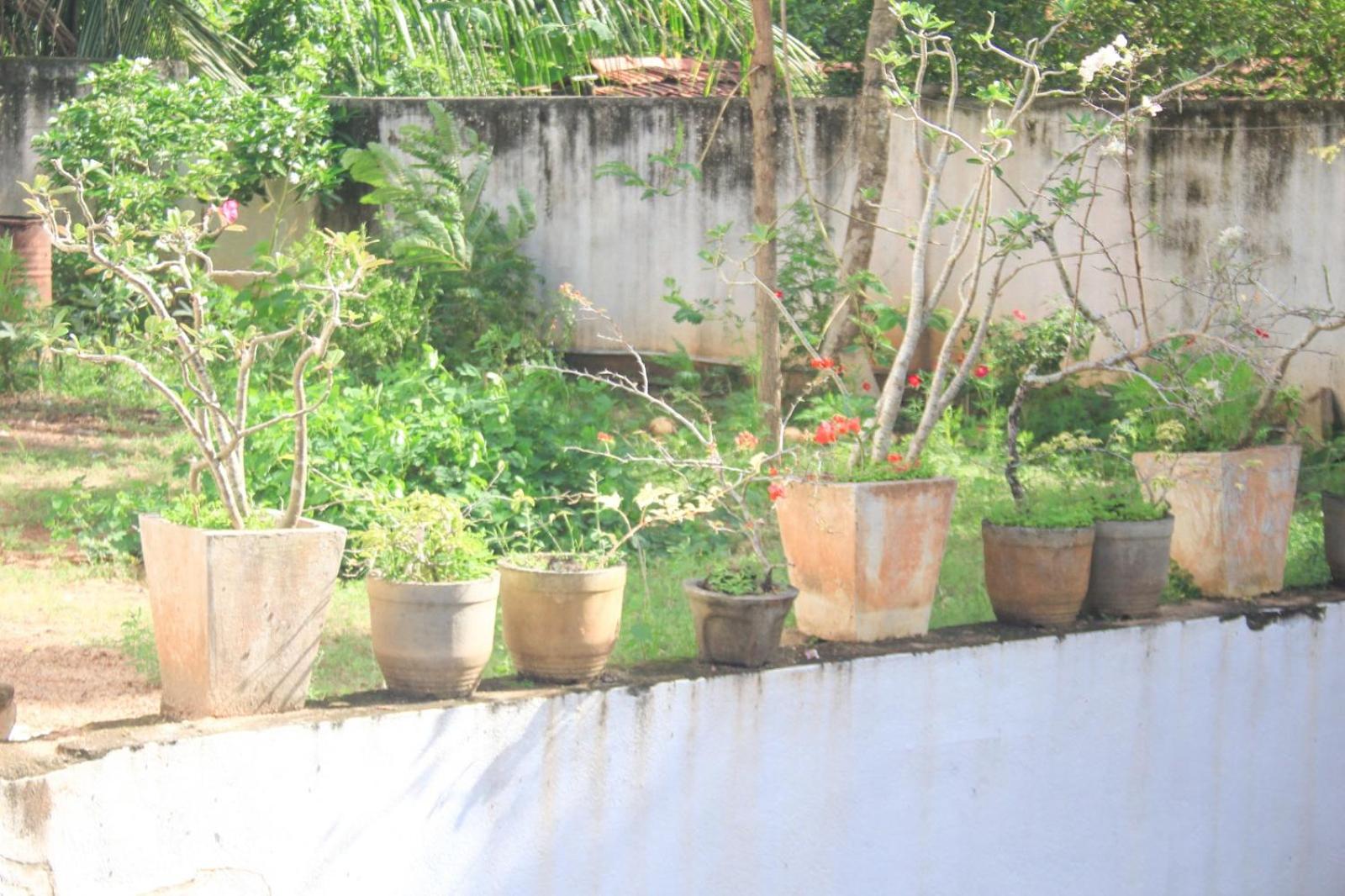 Chapa Guest House view 3