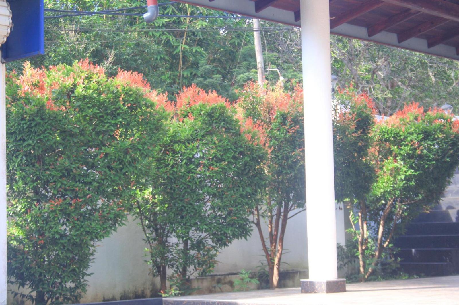 Chapa Guest House view 5