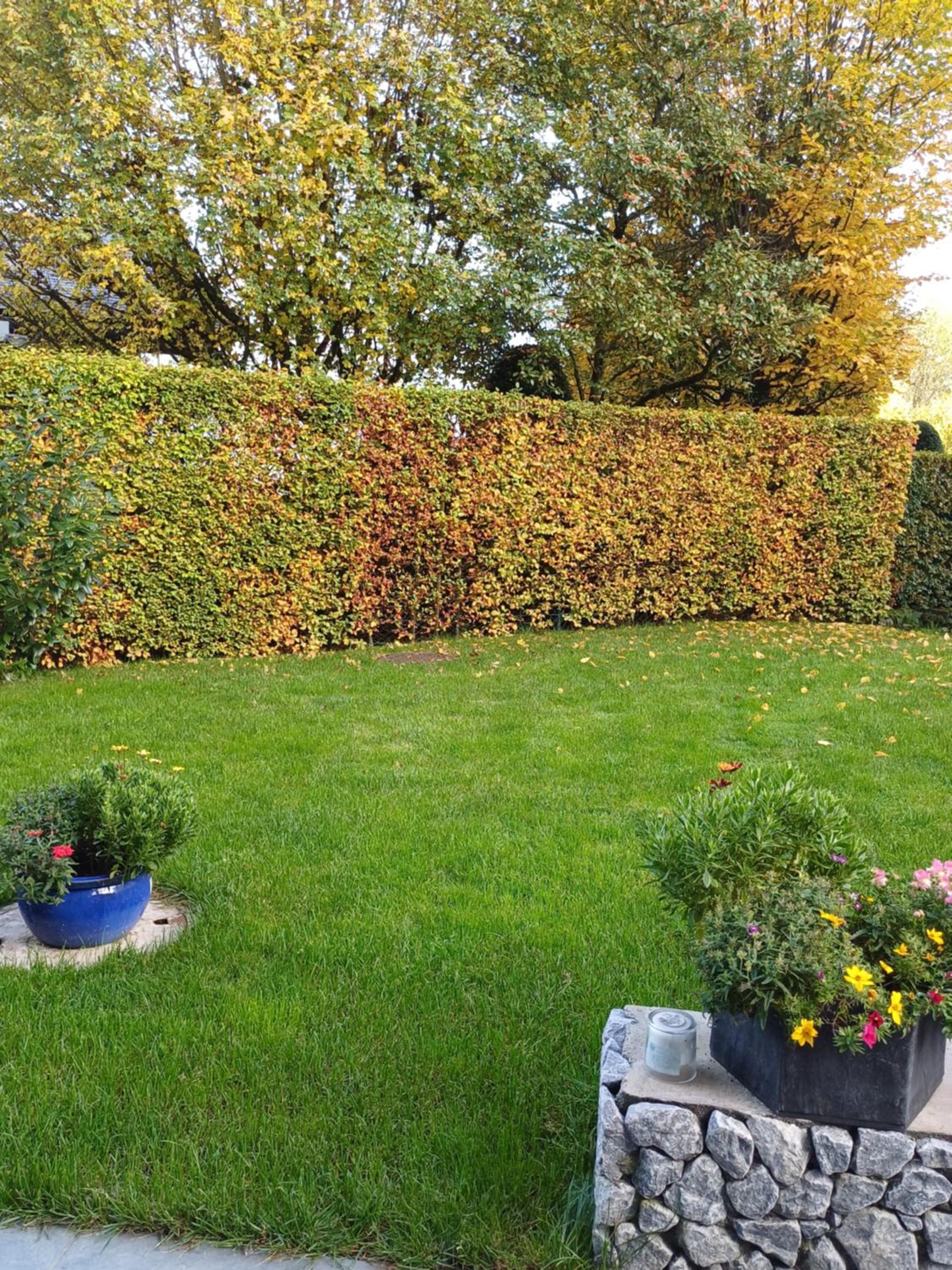 Ferienwohnung Claudia mit Terrasse