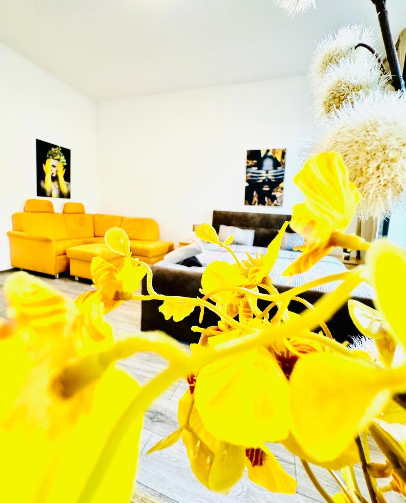 Cozy Private Rooms in 3BR Apartment Near FAC Platz