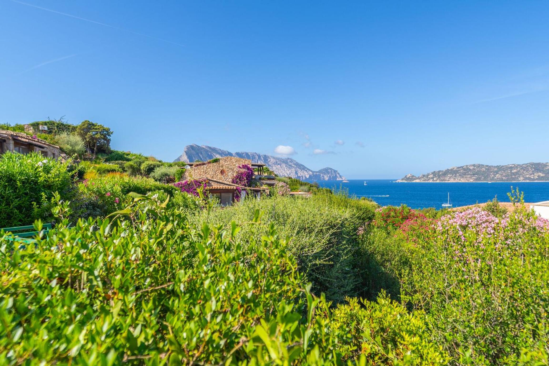 Villa Piperita - By Searly