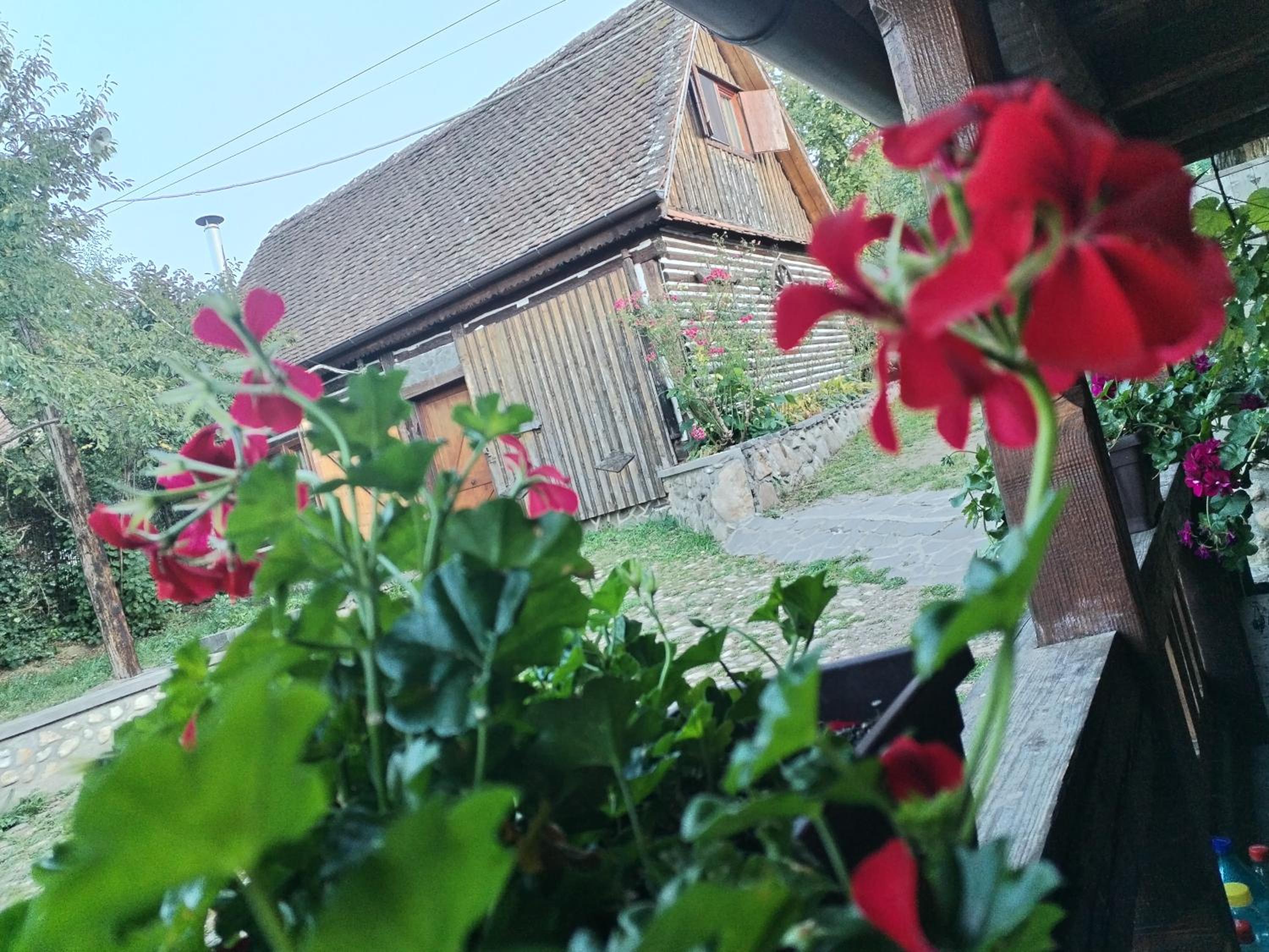Casa Bunicului