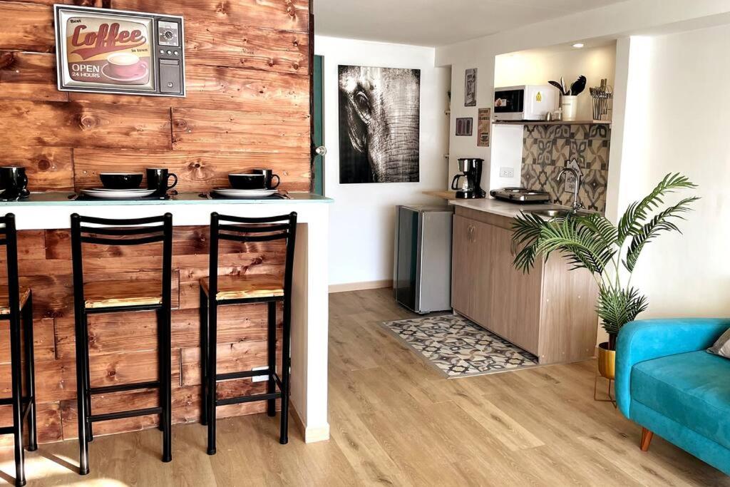 New Cozy Apartment Virrey Park