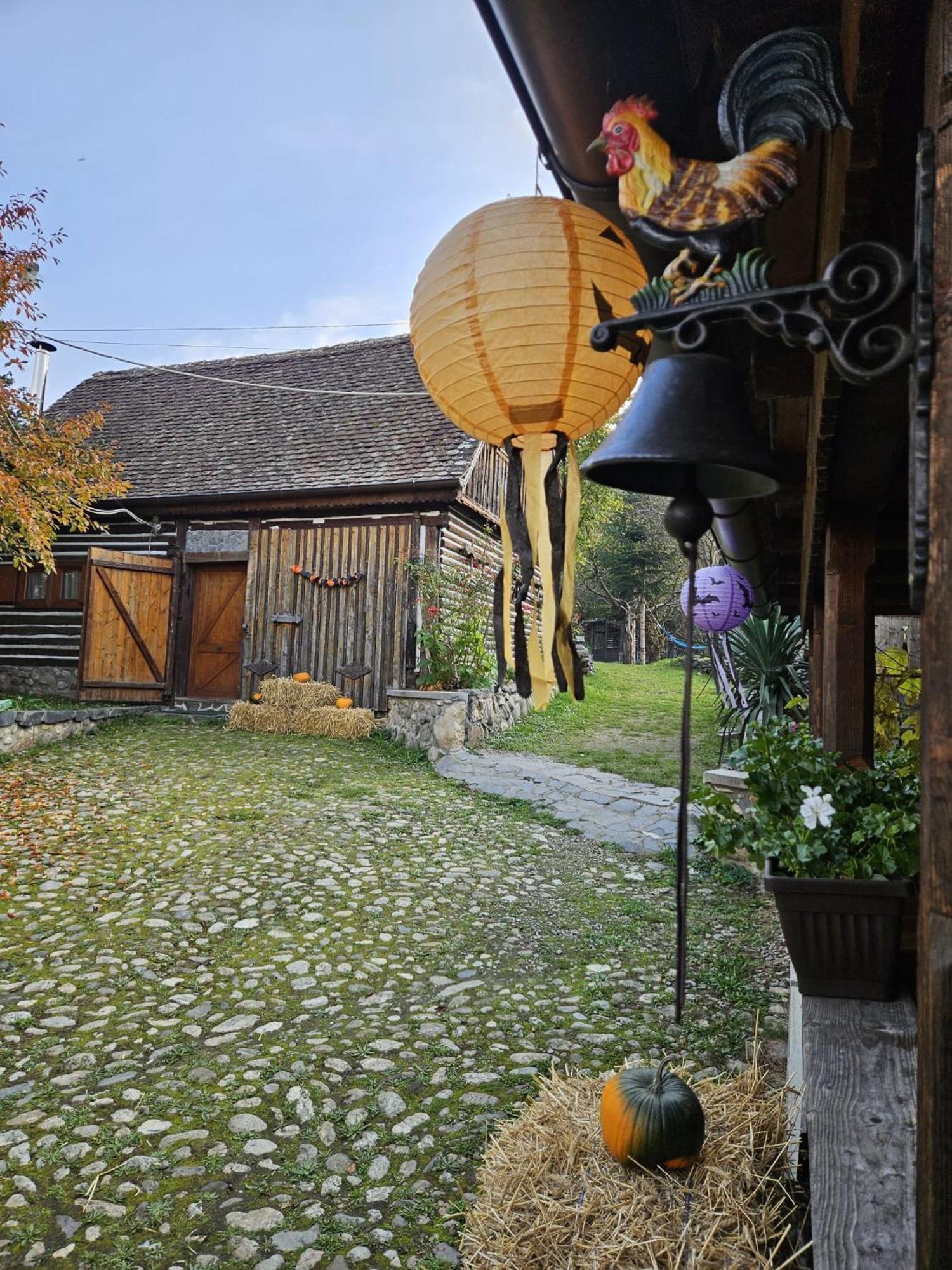 Casa Bunicului