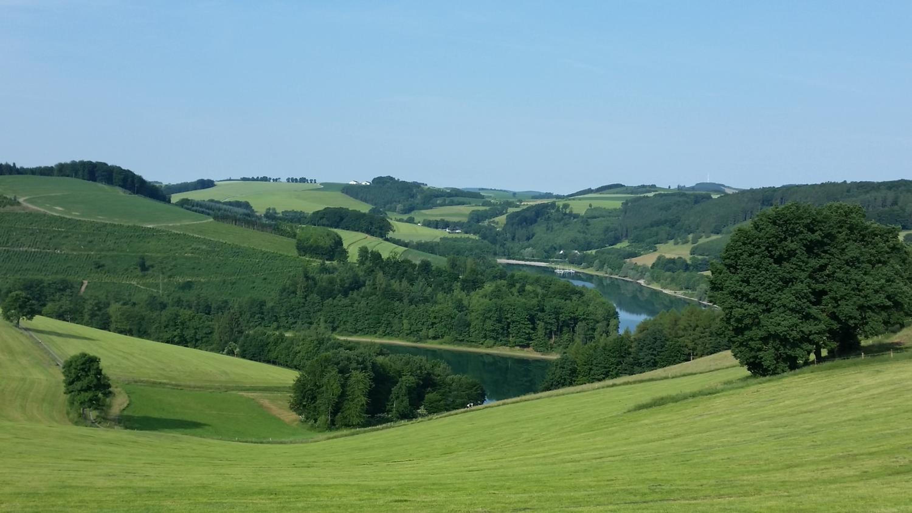 Henneglück mit Fernblick!