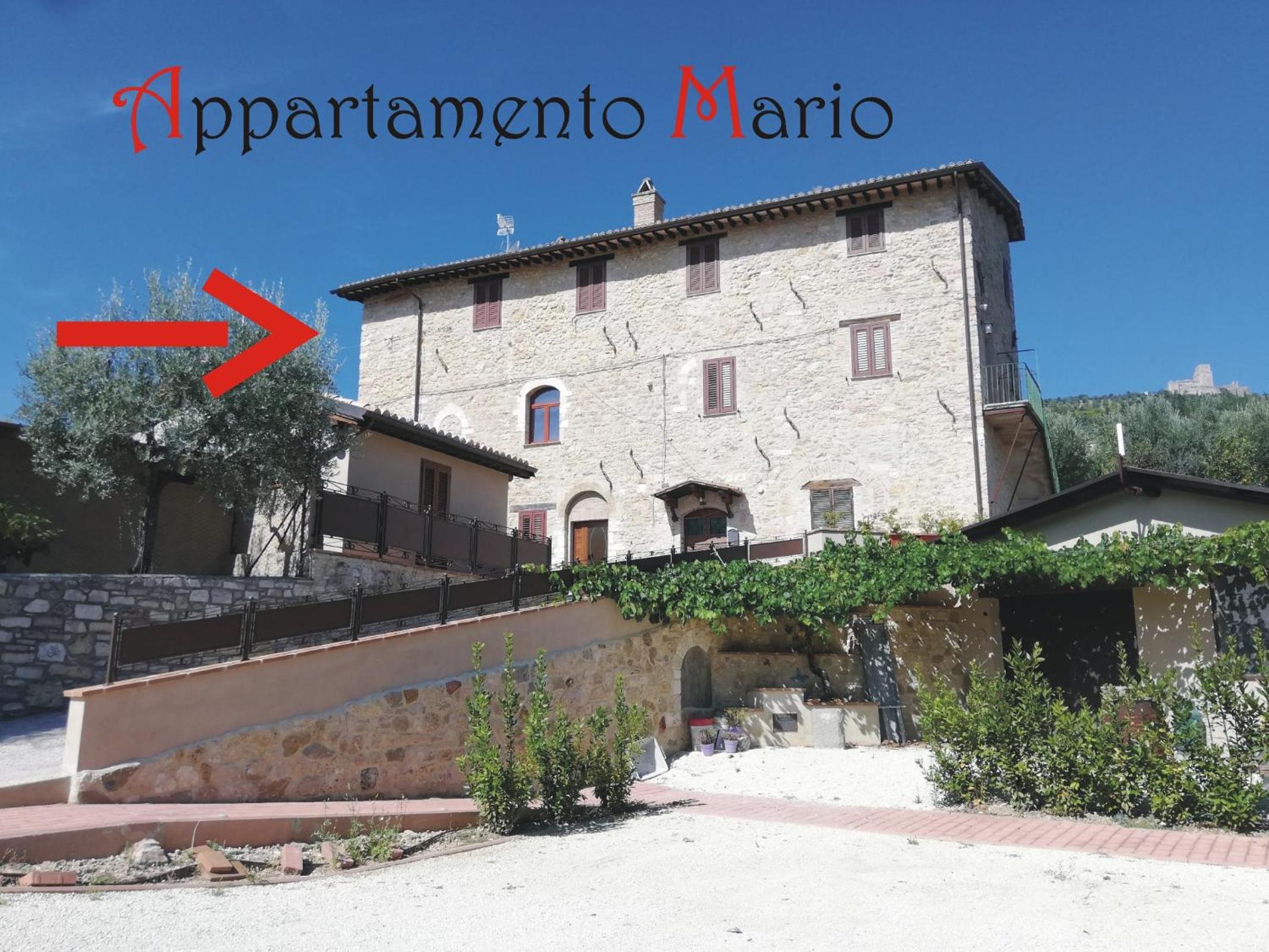 Appartamenti Cardinali