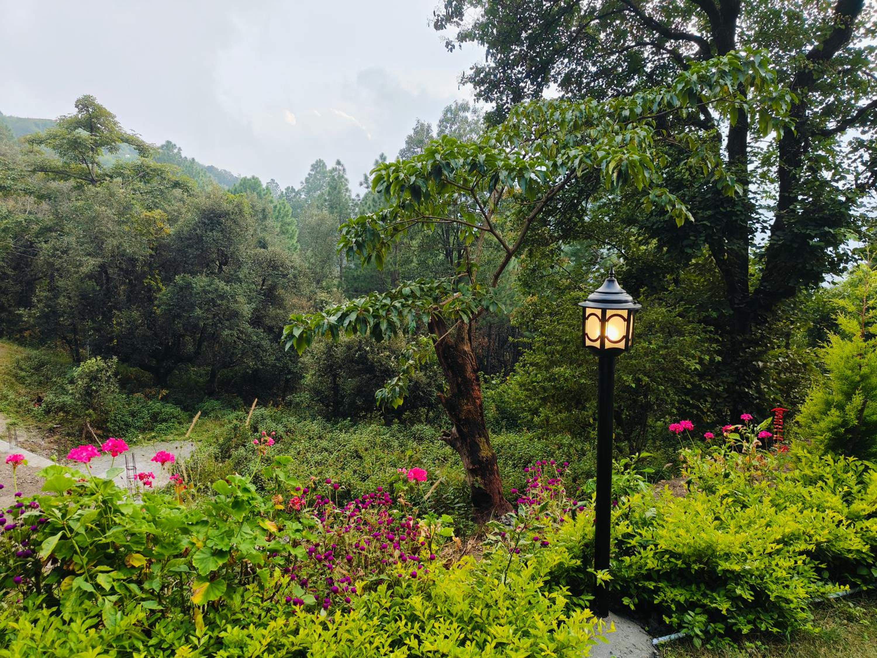 The jungle book by lake & woods view 4