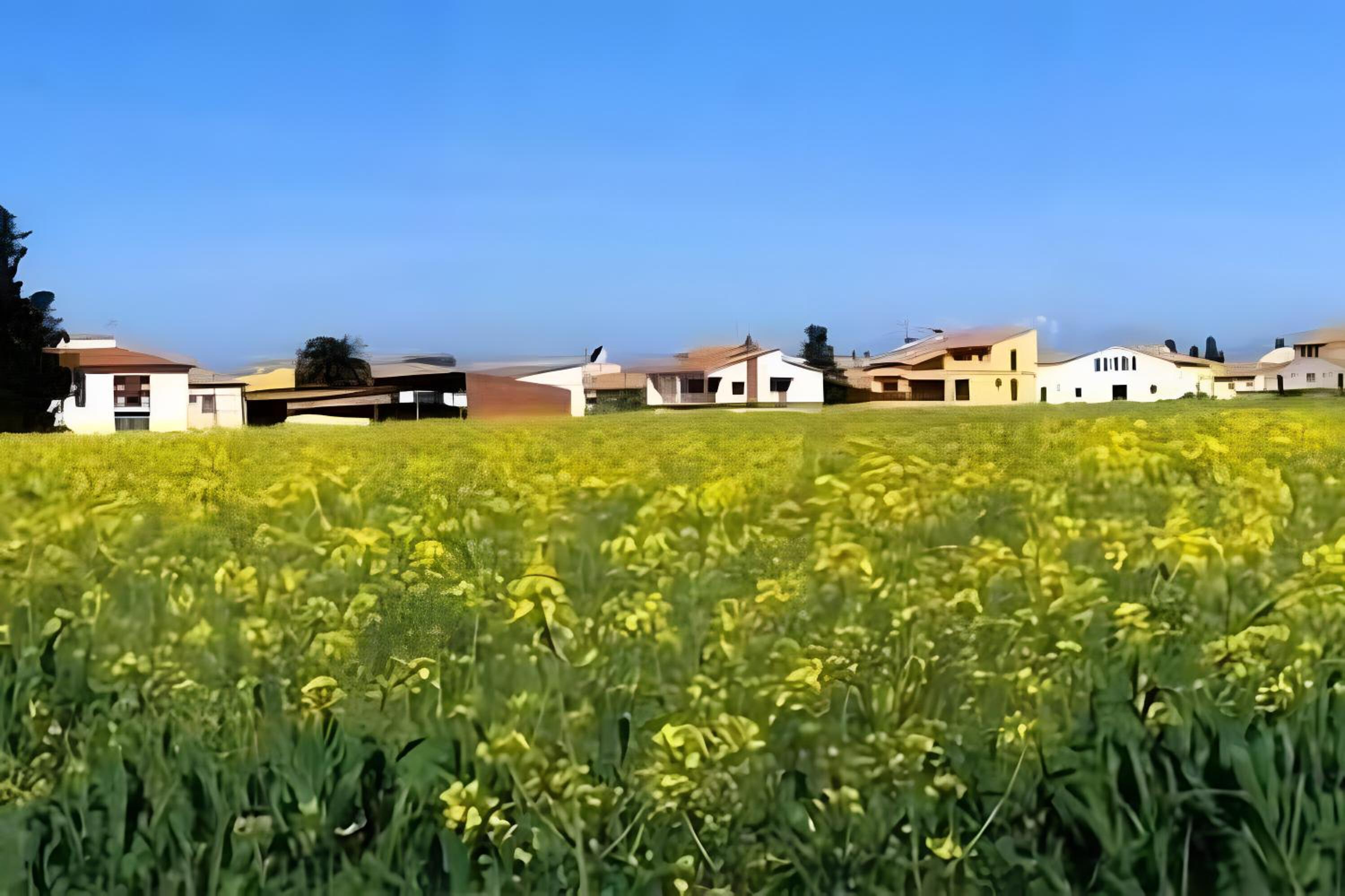 Can Centena