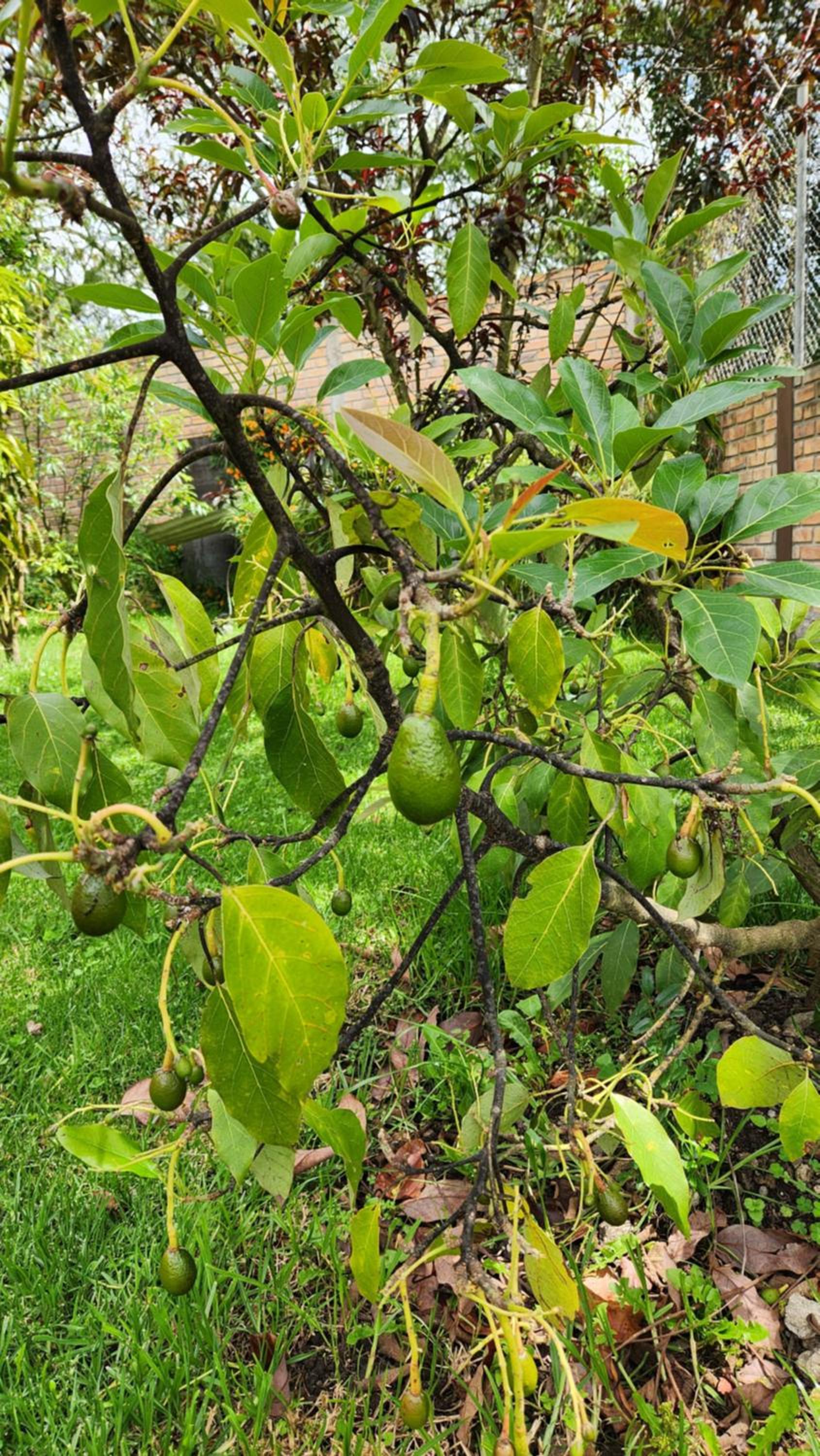 Quinta de Lujo Gualaceo