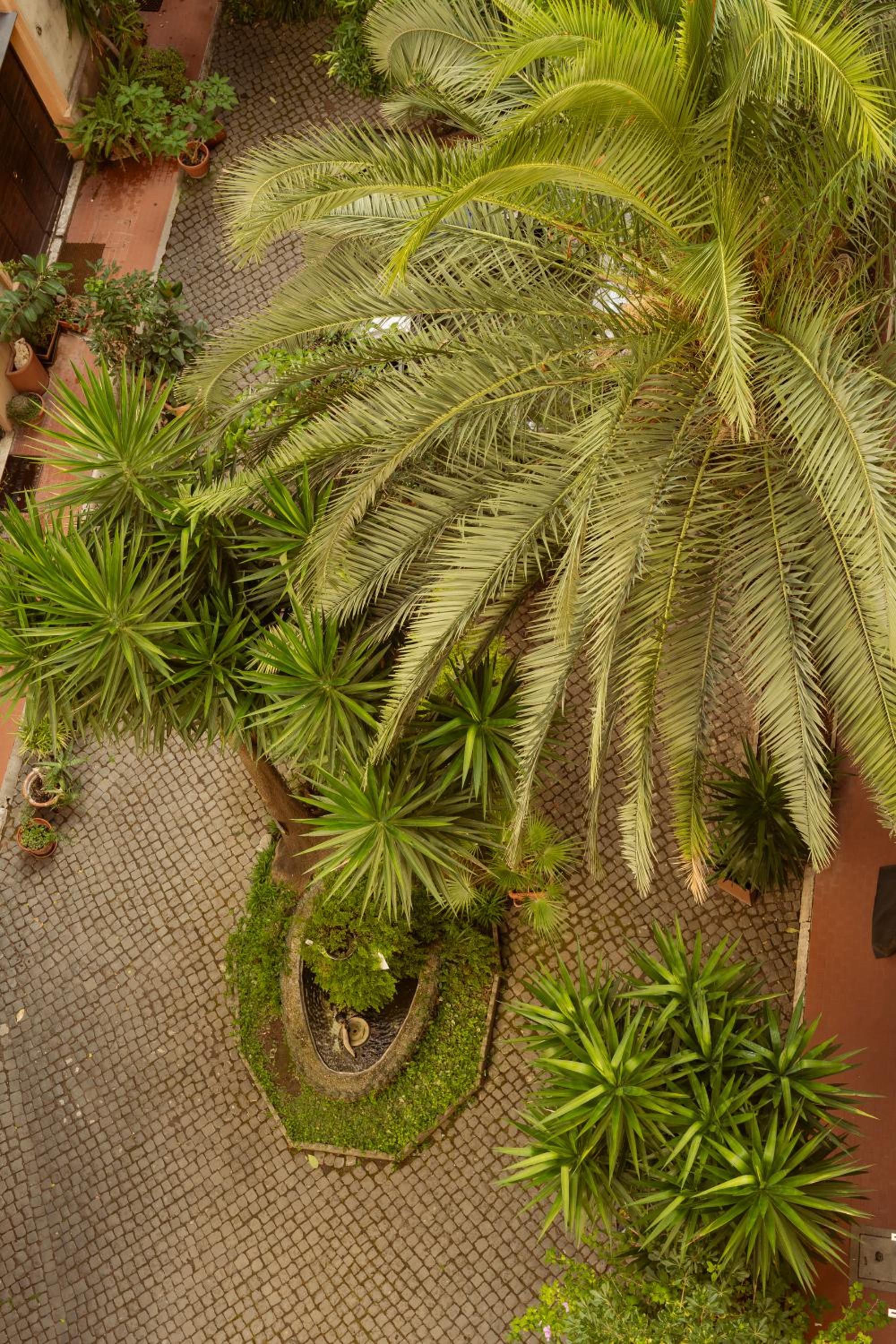 La Casa Di Amy