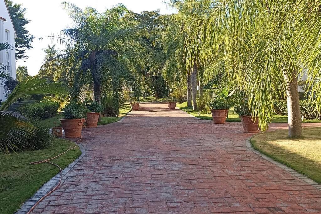 Apartamento Corozos 2-202