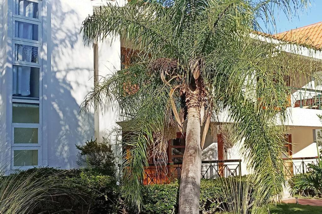 Apartamento Corozos 2-202