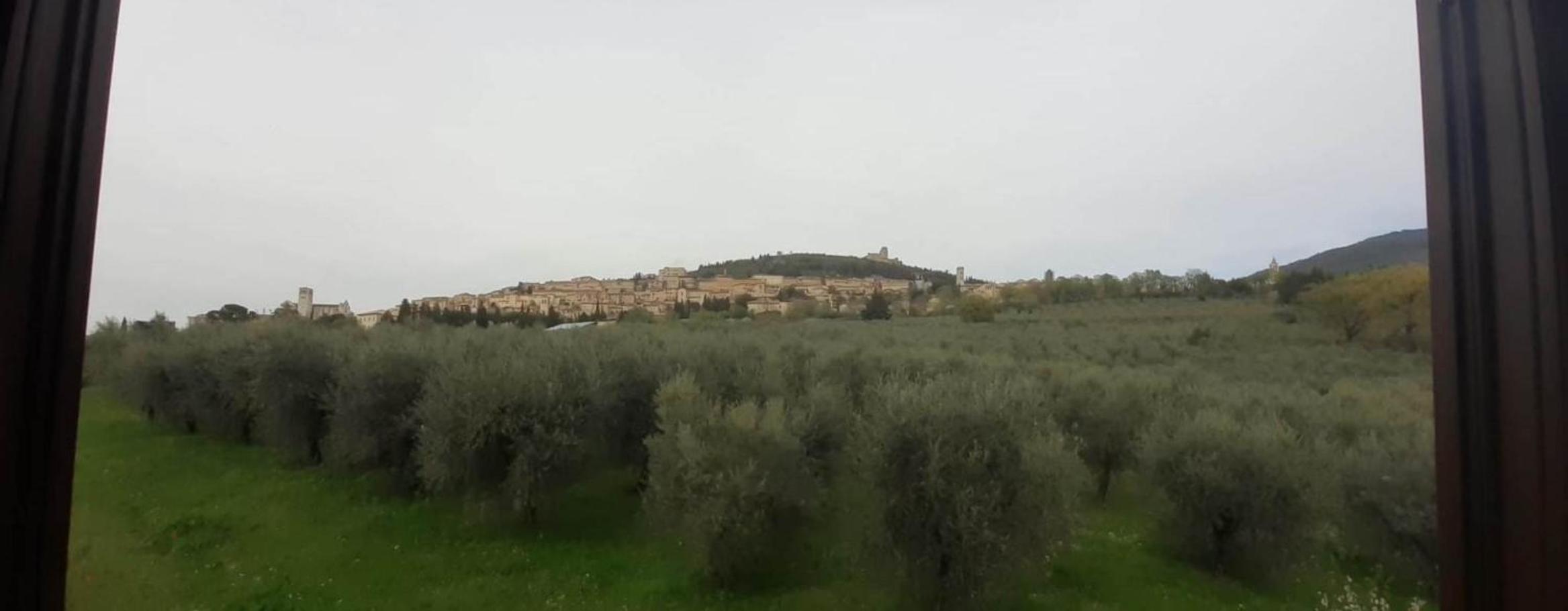 Appartamenti Cardinali