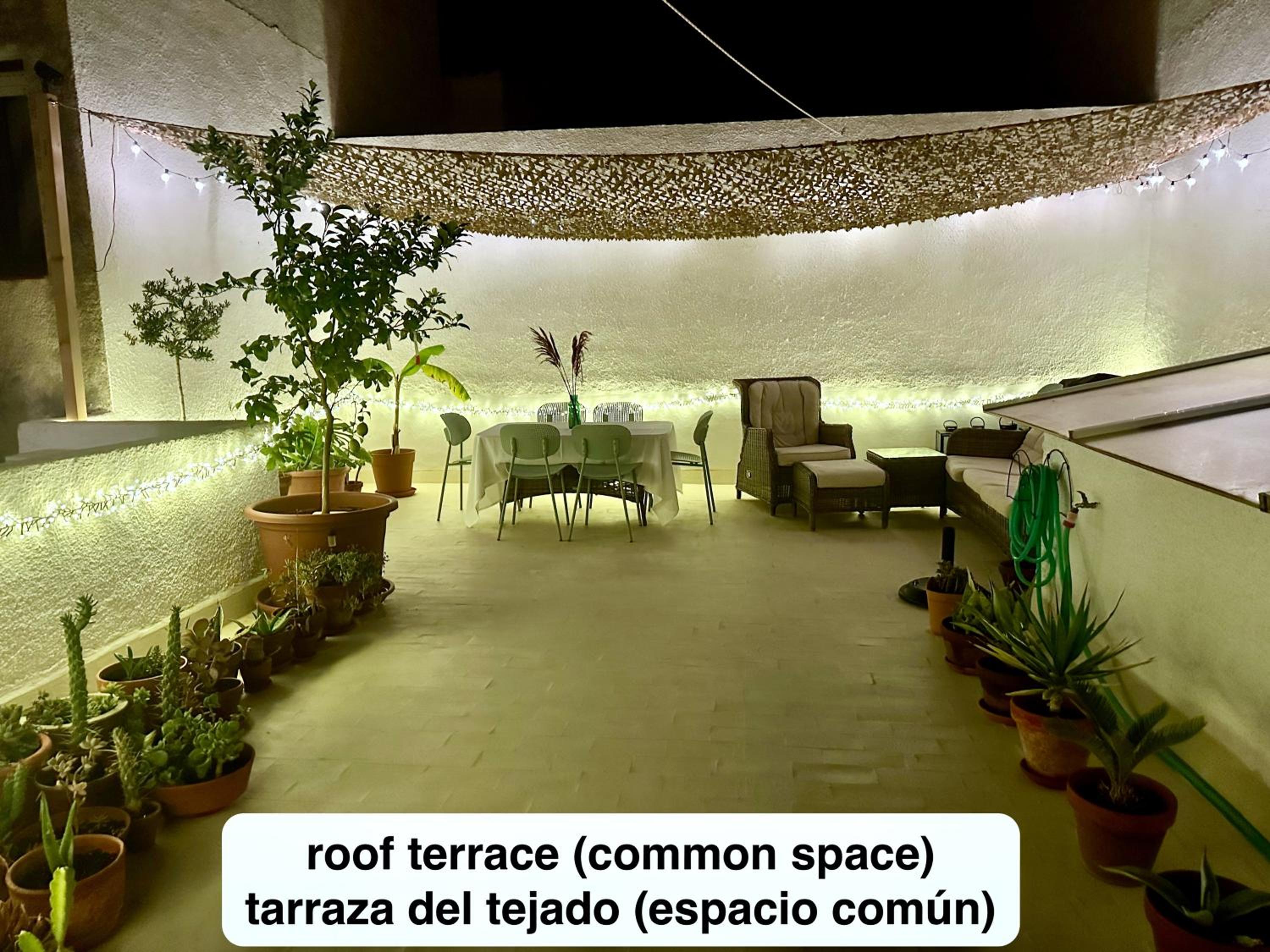roof