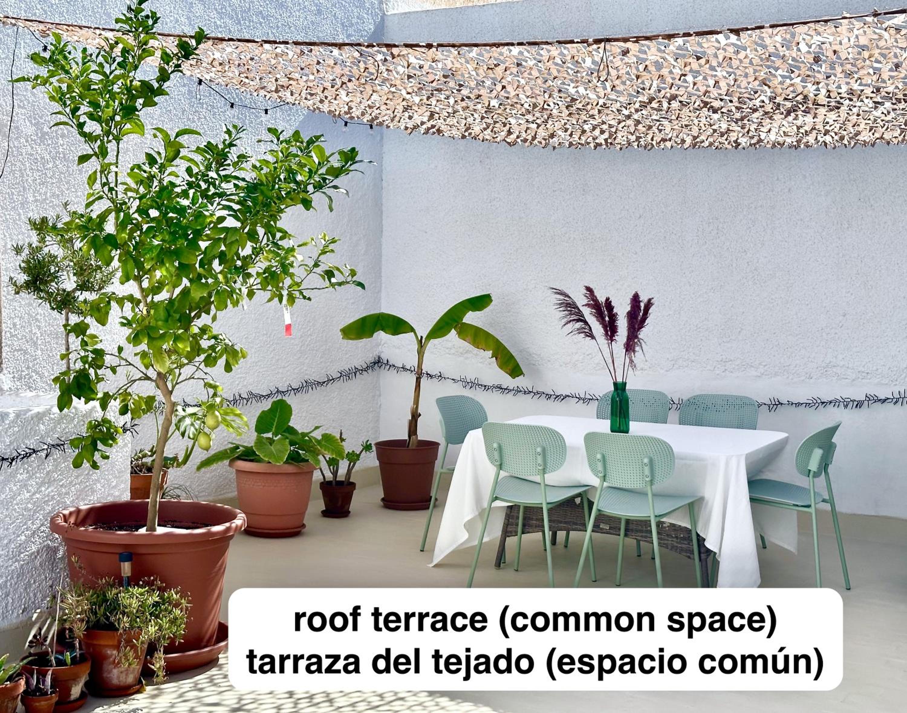 roof