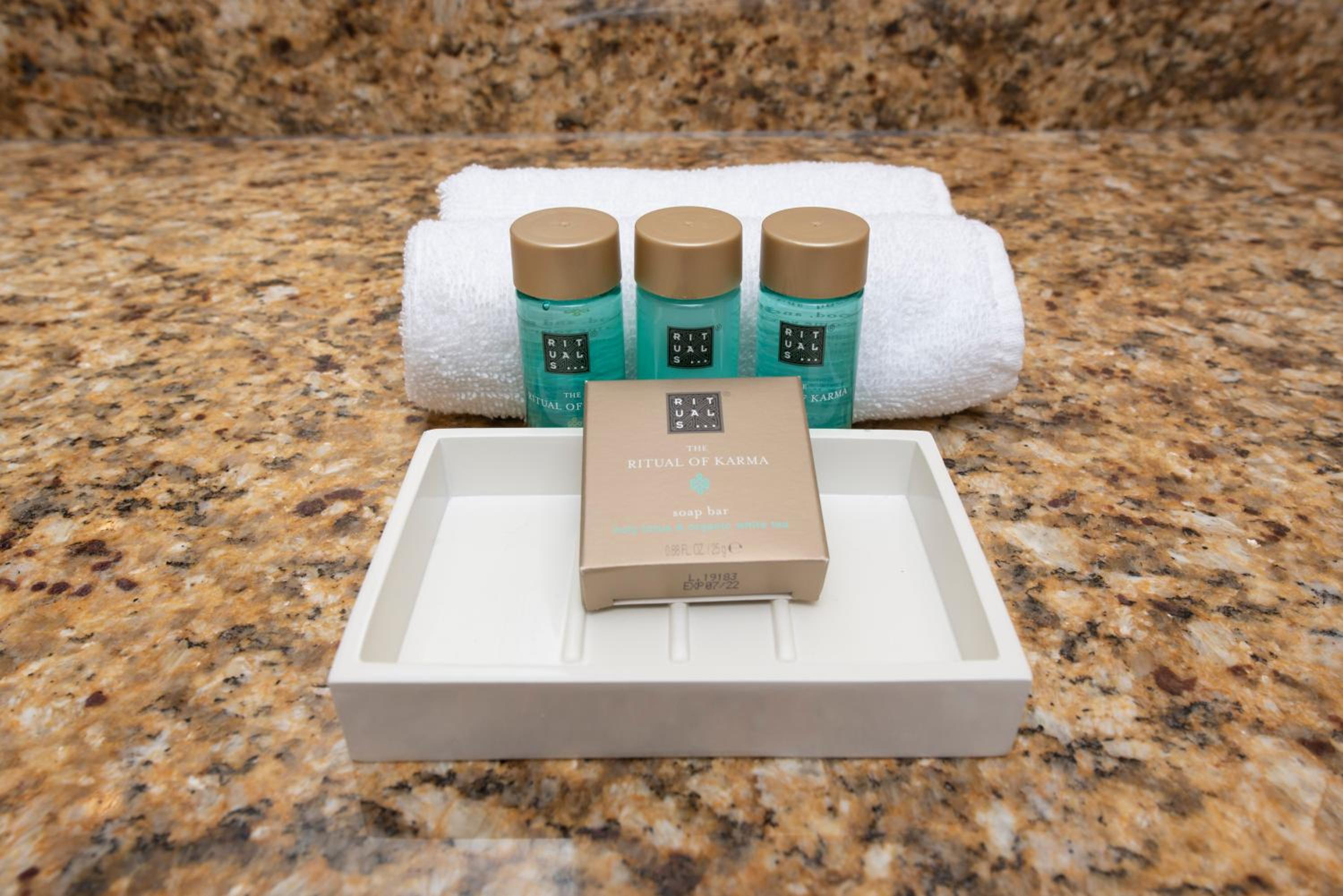 Luxury 4BD All suites with BBQ minutes from Disney