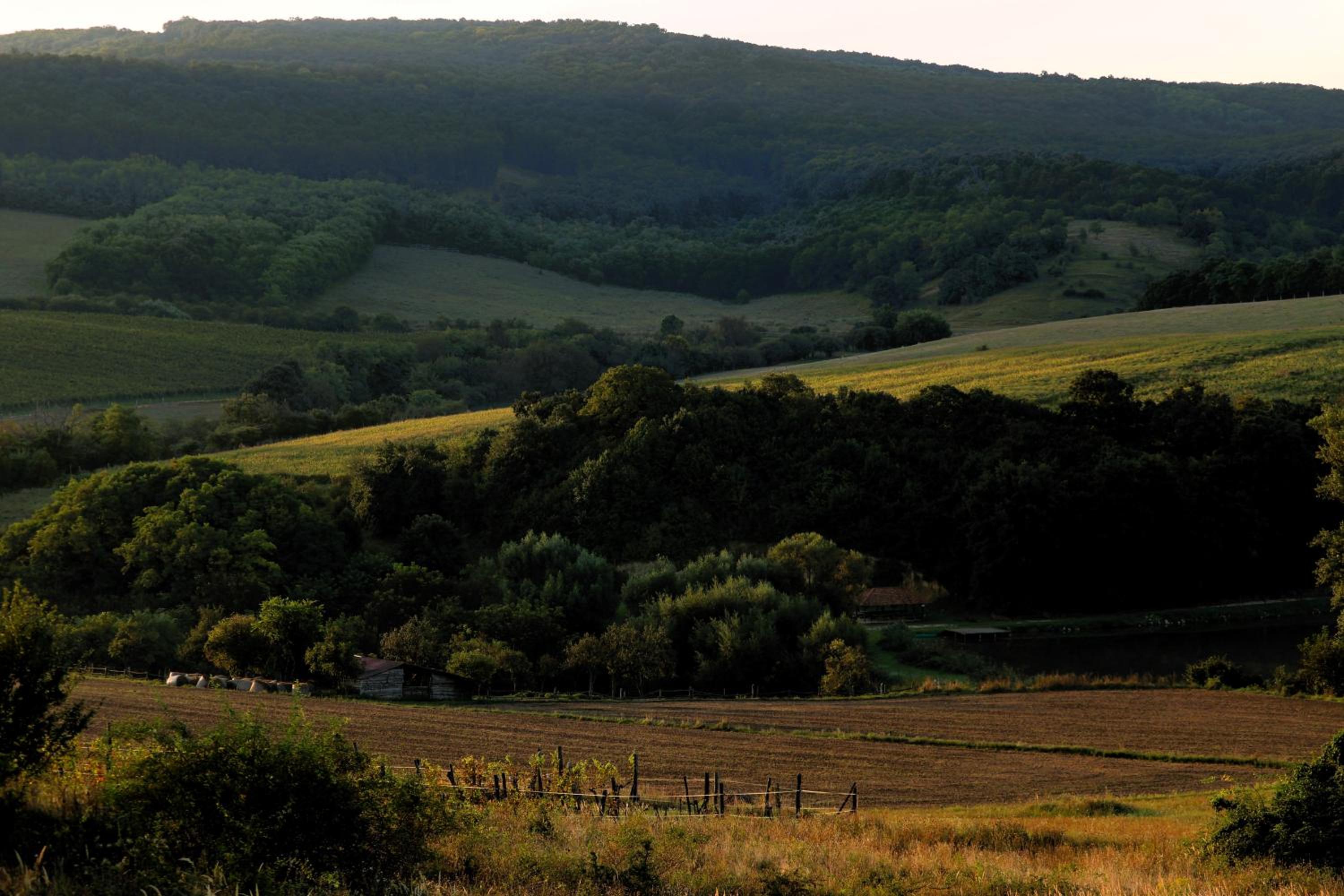 Duna Holiday Home view 3