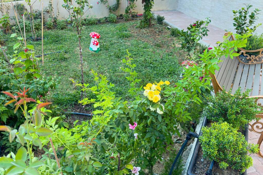 The ONE Private Villa in Tirana