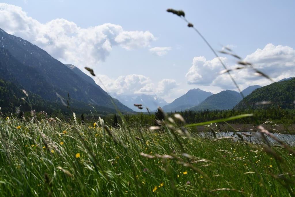 Neue 2 Zimmer FeWo im Murnauer Moos