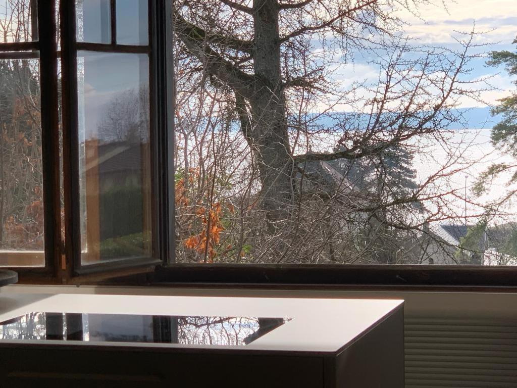 'Le Petit Clos Suites'- Charming Getaway on Leman Lake