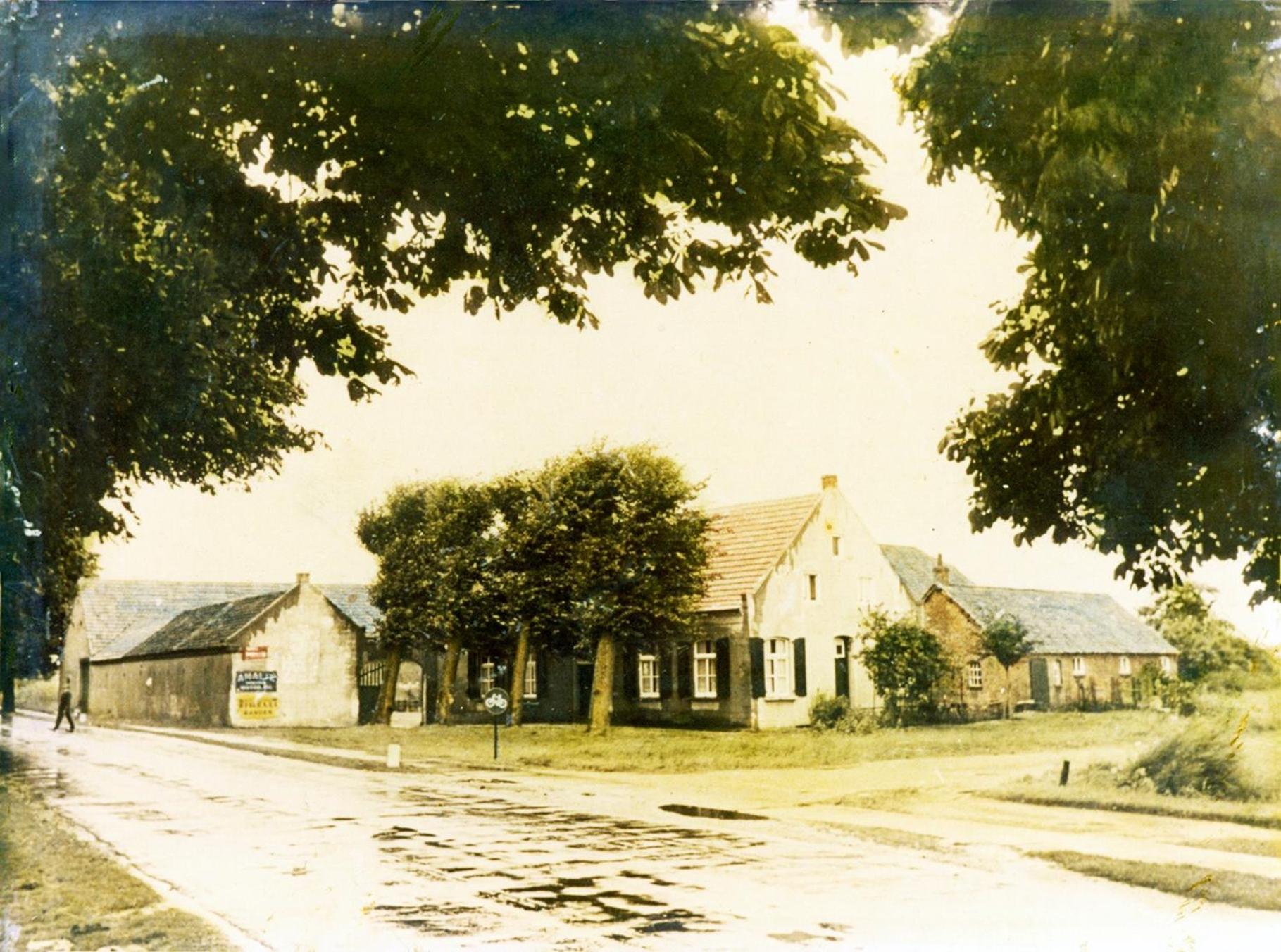 Photo 8