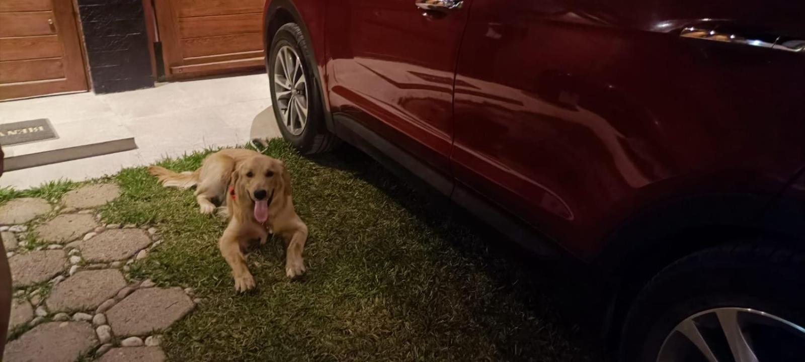 RANCH HAUS OXAPAMPA - PeT FRIENDLY view 4