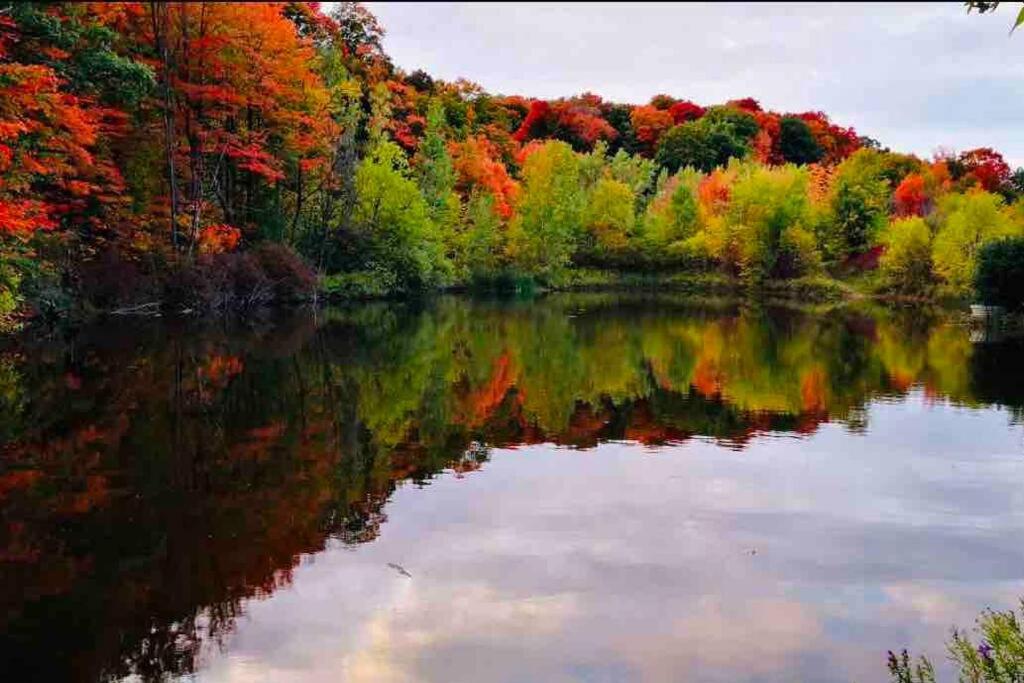 Moon River