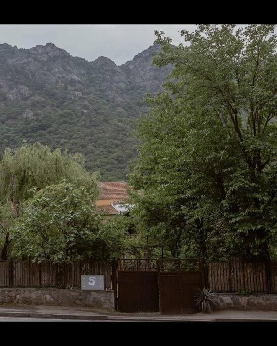 Cosy family house in Mtskheta view 4