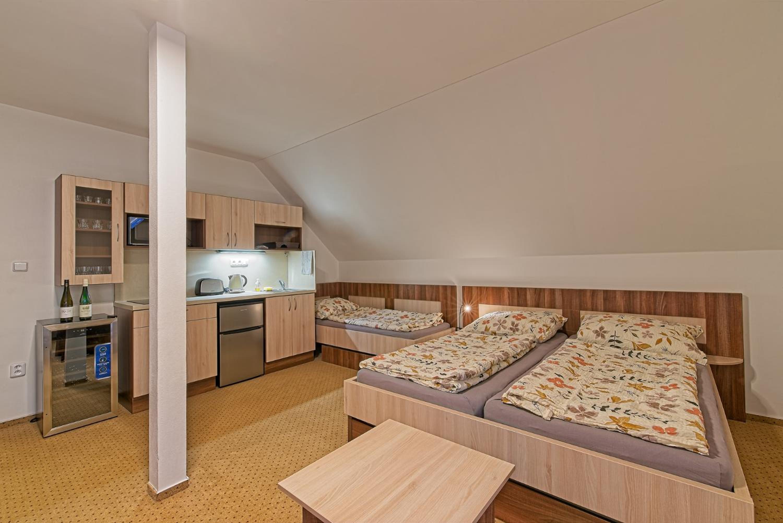 Apartmán Studenov