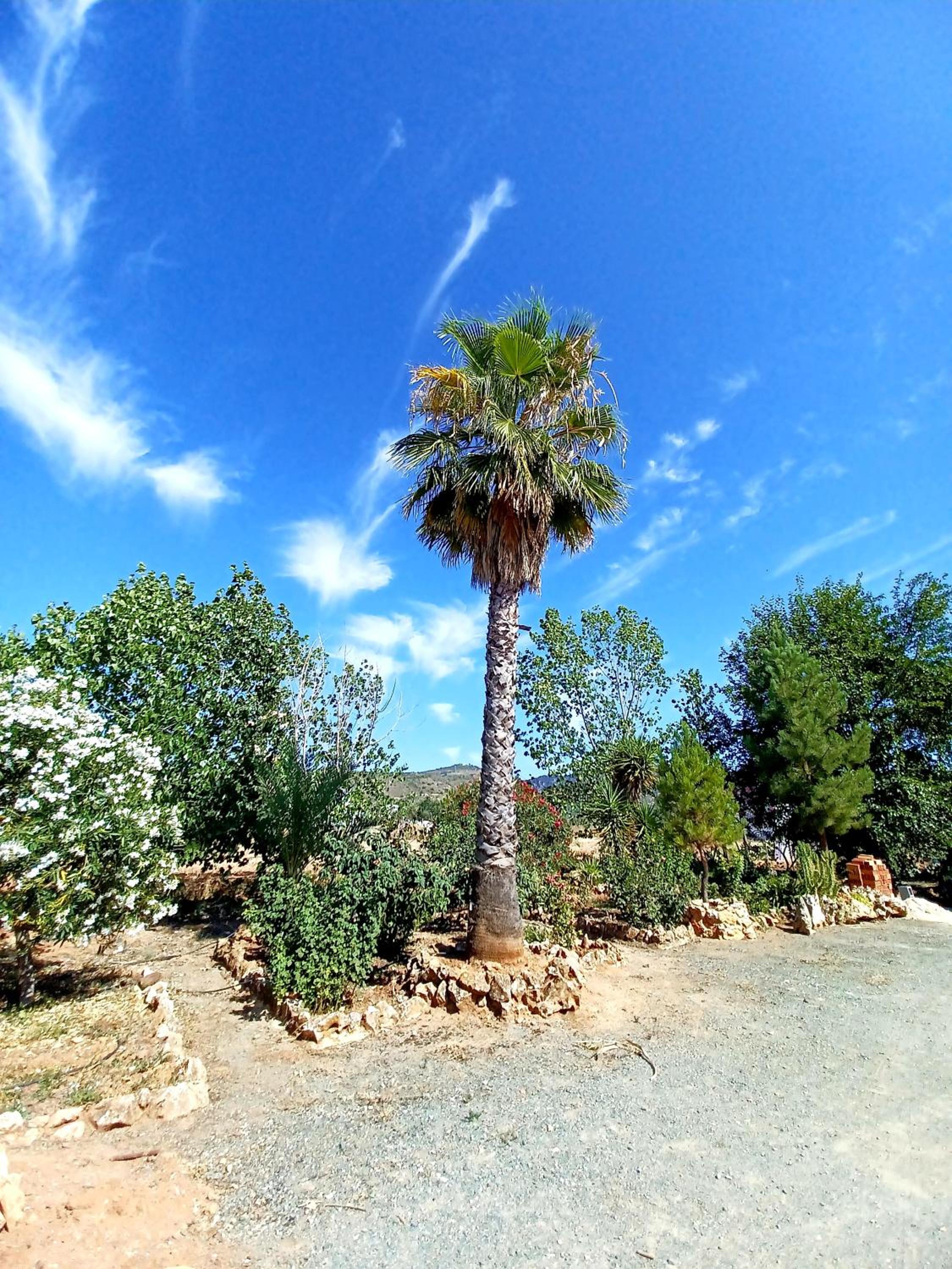 Cortijo La Nobleza