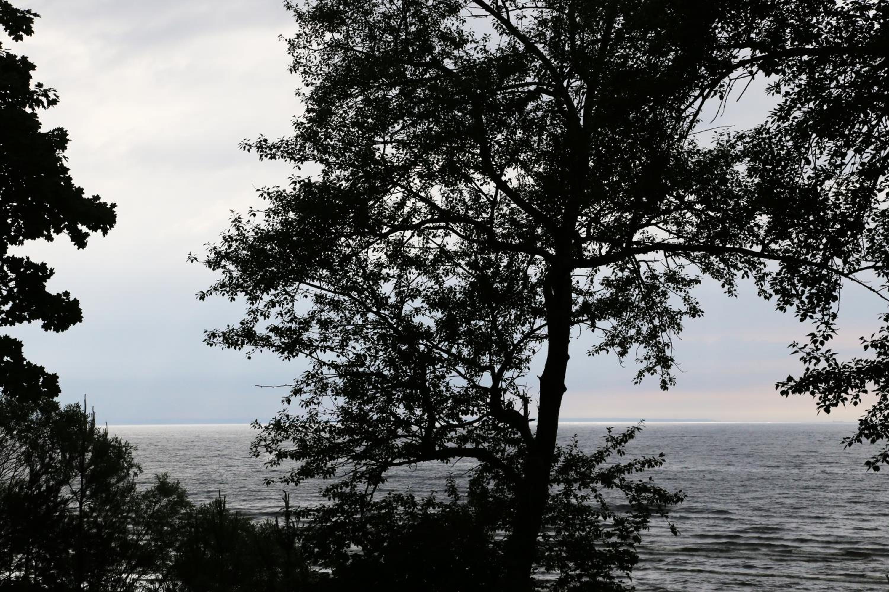 Narva-Jõesuu Beach Residence
