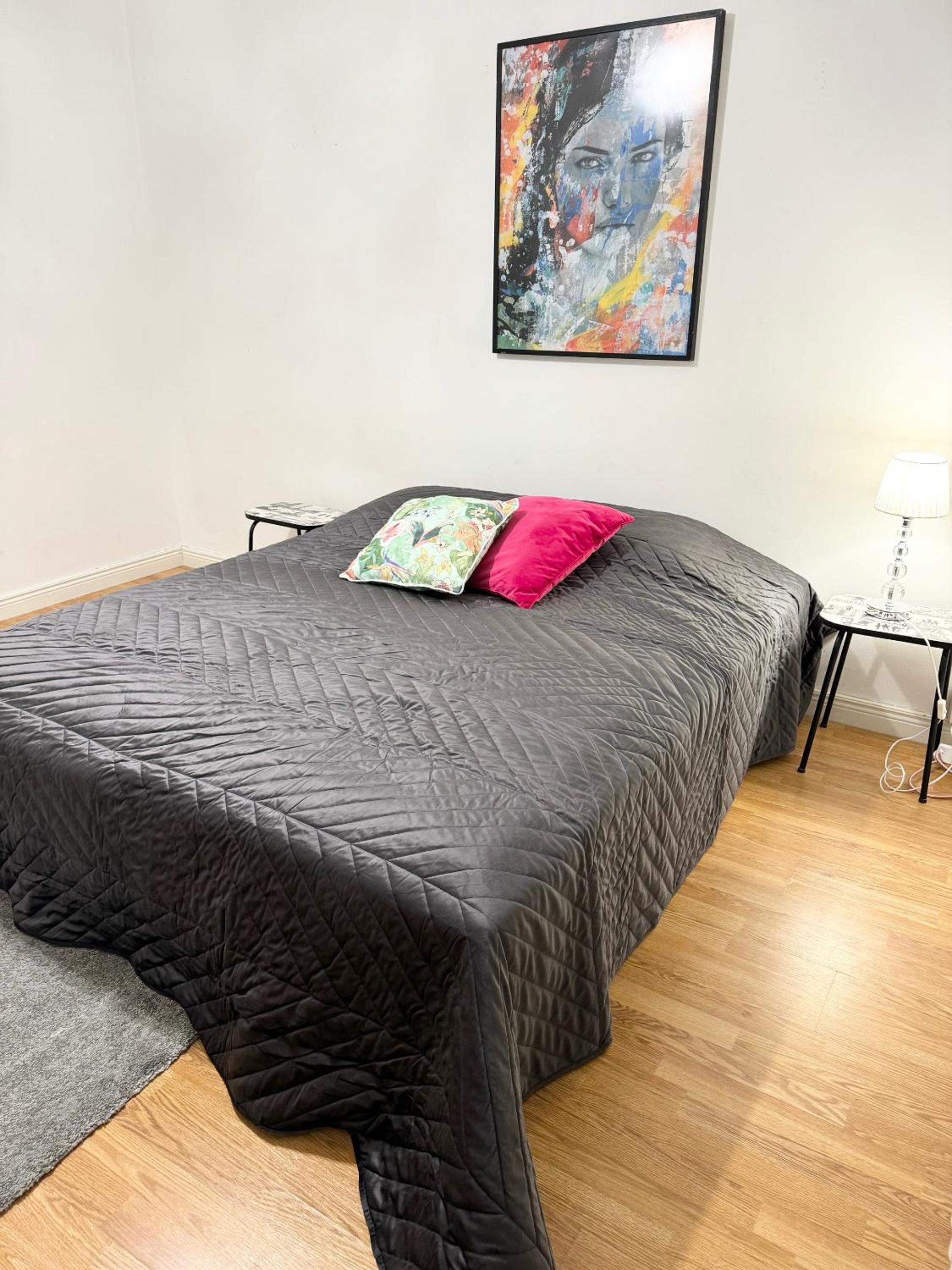 HHH Spacious, big apartment in Helsinki center in Kallio