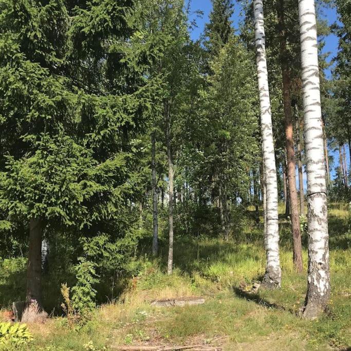 Upea ja avara huippulaatuinen omakotitalo