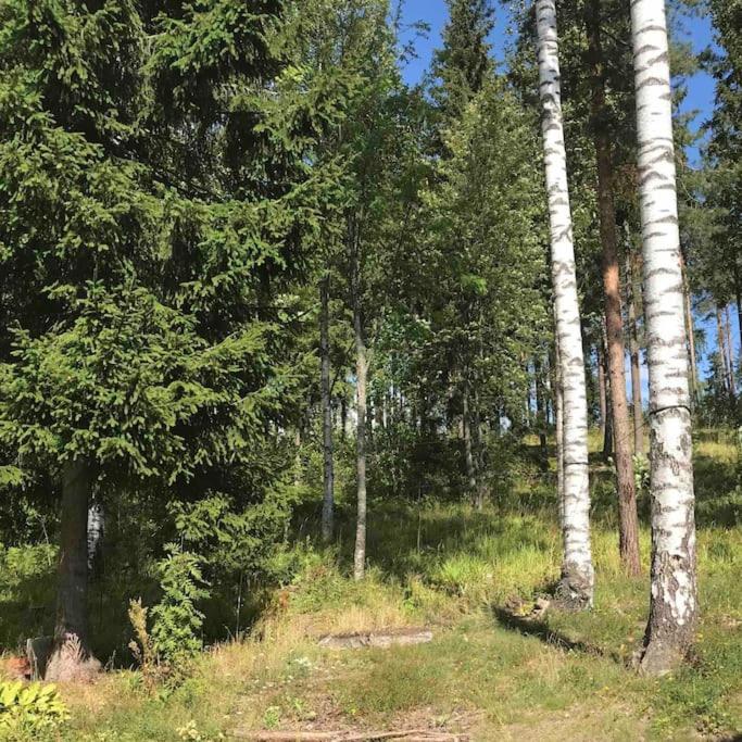 Upea ja avara huippulaatuinen omakotitalo