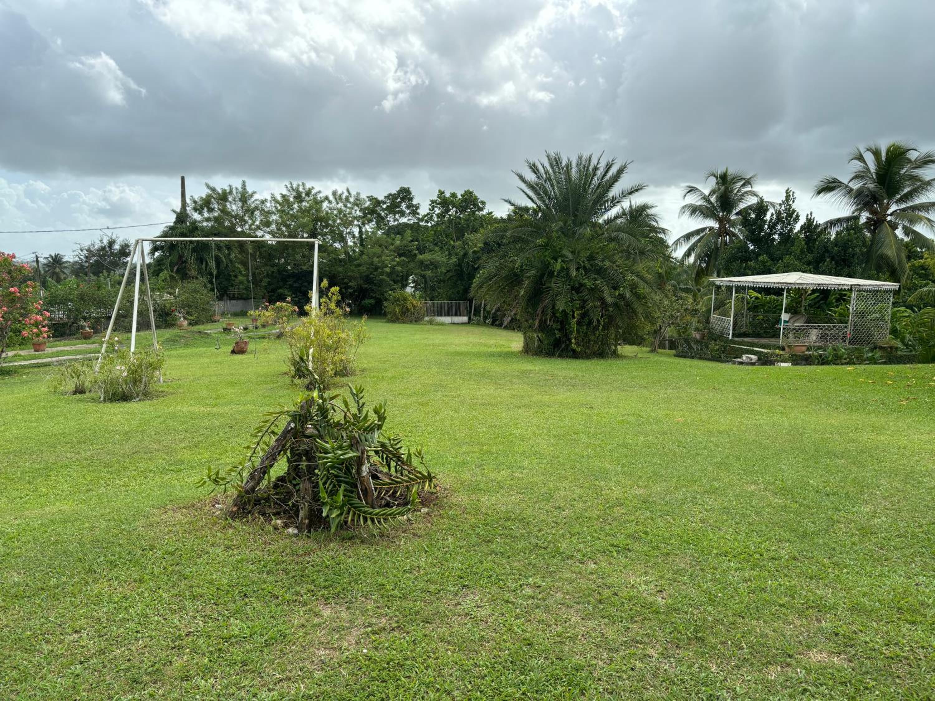 Ti COCO view 3